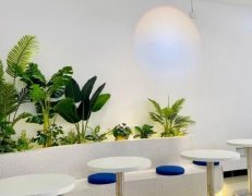 转让将军路鲜榨椰奶清补凉店铺