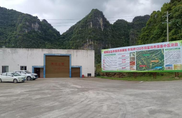 田阳区坡洪镇蛋鸡场招聘仓管/饲养员/捡蛋工 田阳区坡洪镇蛋鸡场招聘仓管/饲养员/捡蛋工