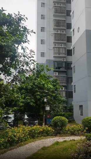 新房招租田阳高中旁一室一厅一卫 新房招租田阳高中旁一室一厅一卫